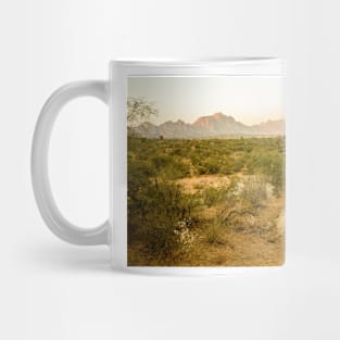 Rajasthan Sunset Mug